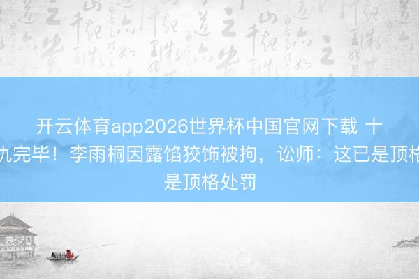 开云体育app2026世界杯中国官网下载 十年恩仇完毕！李雨桐因露馅狡饰被拘，讼师：这已是顶格处罚
